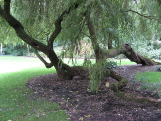 Berliner Gärten